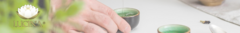 Banner de la categoría Lucina Tés