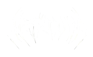 Apexnova.blvd