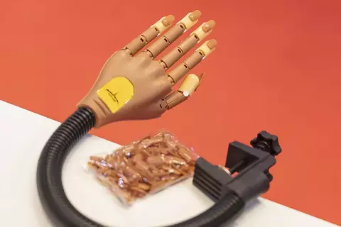 Nueva! Mano articulada de Practica con 100tips incluidos Paris Night