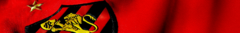 Banner da categoria SPORT CLUB DO RECIFE