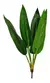 PLANTA ARTIFICIAL EQUATOR 50CM en internet