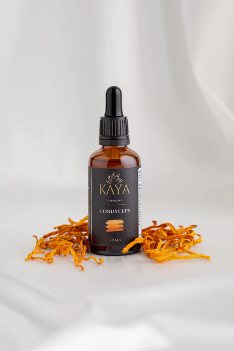 Tintura Madre - Cordyceps - comprar online