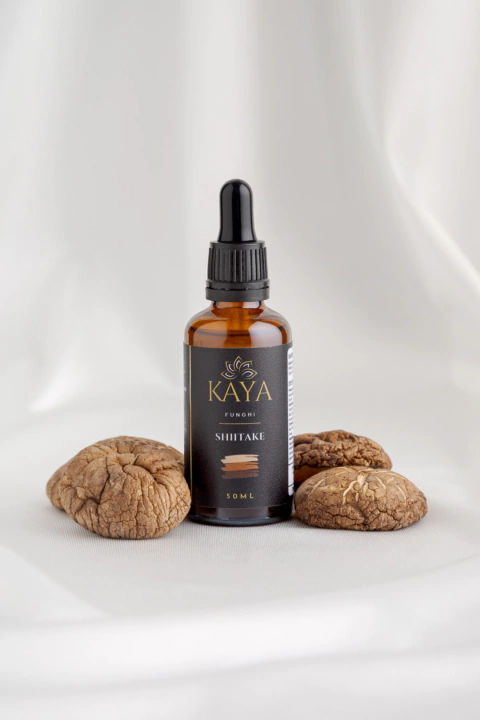 Tintura Madre - Shiitake - comprar online