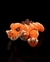 Imagem do T-Rex Articulado