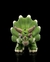 Triceratops