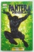 Anos 2000 o Renascimento da Marvel Vol. 2: Pantera Negra - Christopher Priest