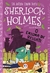 Sherlock Holmes Ilustrado - O Enigma de Reigate