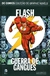 DC Graphic Novels - Flash - Guerra de Gangues