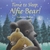 Lit. Inf. - Inglês - Time To Sleep, Alfie Bear