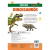 Livro Explore: Dinossauros - Editora Ciranda Cultural - comprar online