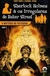 Sherlock Holmes e os Irregulares de Baker Street