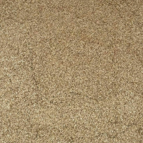 PSYLLIUM - 100g
