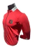 CHAQUETA AMERICA DE CALI ADULTO ENTRENAMIENTO en internet