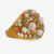 Anillo Ocean en internet
