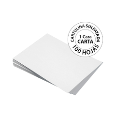 Cartulina SBS 1C Carta 100 Hojas - comprar en línea