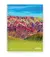 Cuaderno Universitario A4 Avon Rayado x 84 hojas
