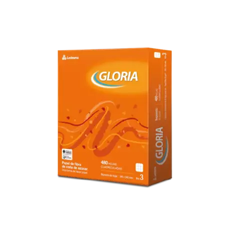 Repuesto de Hojas N:3 Gloria 480 Cuadriculadas