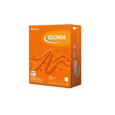 Repuesto de Hojas N:3 Gloria 480 Rayadas