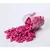 Lacre IBI CREFT en Perlas Fucsia - comprar online