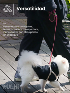 Correa Flex-Correa Extensible para perros y gatos 5M en internet