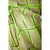 SHORT NUDE E VERDE OPEN TAM P na internet