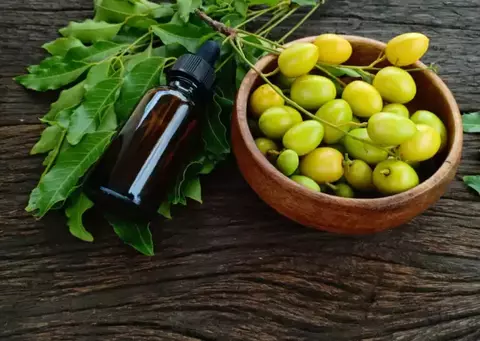 Aceite de Neem Virgen Organico 20ml