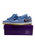 Nike Dunk SB Low Philadelphia Phillies