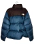 Campera The North Face Mens 1996 Retro Nuptse 700 - comprar online