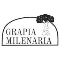 Marca 7 de Tradición y Vanguardia