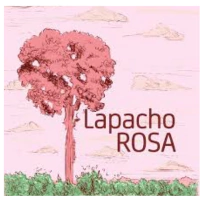 Marca 6 de Tradición y Vanguardia