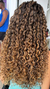 BIO HUMANO RUSSO LUDMILLA OURO - comprar online