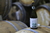 Caixa de Saison Expandida - Saison com fruta, sem fruta e com mel - loja online
