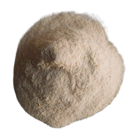 #18822 Jengibre en polvo x 100 Gr