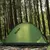 Barraca Camping Para 4 Pessoas à Prova d'Água PU1500 Com Tela Mosqueteira Ultraleve Bask na internet