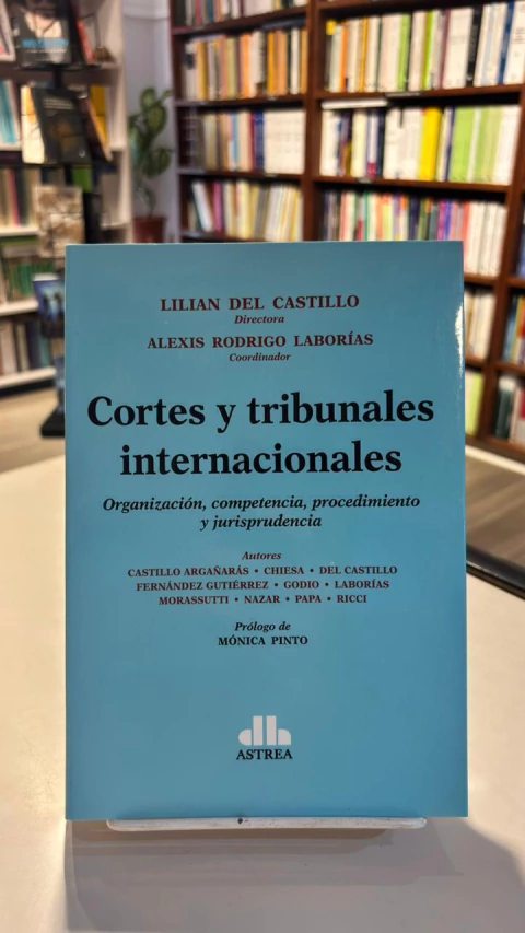 CORTES Y TRIBUNALES INTERNACIONALES. 2021 - DEL CASTILLO LILIAN
