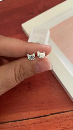 Abridor Titi en internet