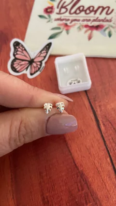 Imagen de Abridor Monstera