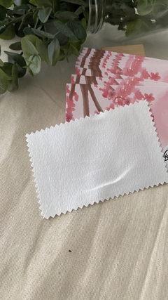 Pañitos limpia Plata - comprar online