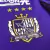 Camisa Sanfrecce Hiroshima I 24/25 en internet
