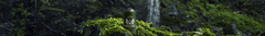 Banner de la categoría Tonic