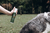 Spray Repelente de Neem | Natuka na internet