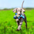 Macaco de Pelúcia Cross Knots | KONG - comprar online