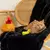 Pelúcia Interativa de Ninho para Gatos | Zippy Paws na internet