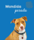 Banner de O Blue | Pet Shop 
