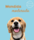 Banner de O Blue | Pet Shop 