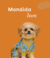 Banner de O Blue | Pet Shop 