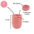 MATE ANTINVUELCO ARGENTINA PACK X10 - comprar online