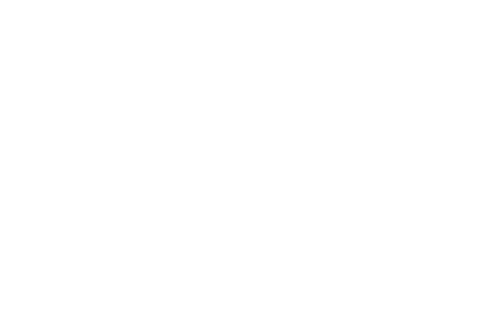 Salgueira