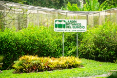 Entrada General - comprar en línea