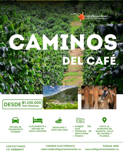 Caminos del Café